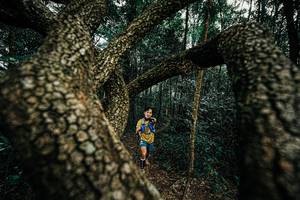 BIB: 
                            <button type="button" onclick="openModal(25393538)" class="btn btn-primary btn-sm float-right btn-popup" data-toggle="modal" data-target=".modal-high-quality">
                        <i class="fas fa-shopping-cart"></i> Add to Cart
                    </button>
                                            <button type="button" onclick="isThisMe(25393538, true)" class="btn btn-success btn-sm float-right btn-popup btn-isme hidden" data-toggle="tooltip" data-placement="bottom" title="นี่คือรูปของคุณใช่ไหม คลิกที่นี่เพื่อเอาเข้าอัลบั้ม">
                        <i class="fas fa-plus"></i> Add to album
                    </button>
                    <button type="button" onclick="isThisMe(25393538, false)" class="btn btn-warning btn-sm float-right btn-popup btn-isnotme hidden">
                        <i class="fas fa-ban"></i> Remove from album
                    </button>